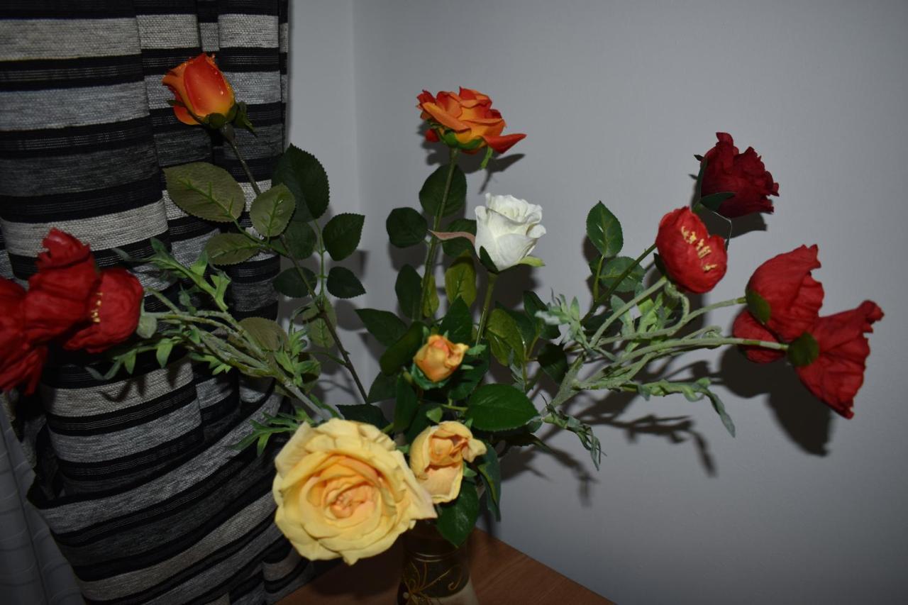 Apartament Vera Timişoara